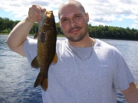 Late-Summer Bass
