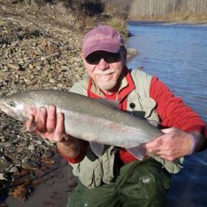 Great Lakes Steelhead