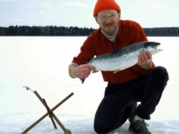 Nice Salmon