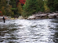 Fish-On at Caucomgomoc Stream