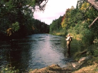 Spring Pool Nymphing