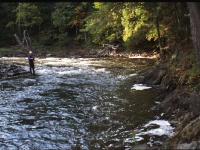 Ragged Stream in Fall