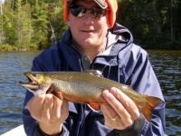 September Brookie