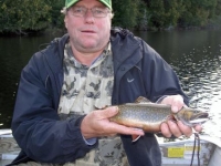 Nice Brook Trout