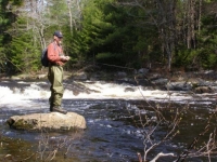 The Stream Whose Name We Don't Speak