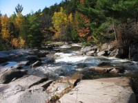 'Sowdehunk Stream
