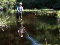 Summer Trouting on Pleasant River