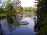 Mopang Stream