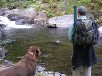 Pool on Mountain Stream