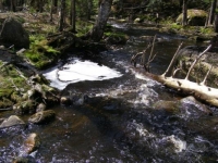 Foam-Covered Hole