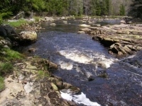 Shadbush Run