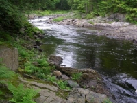 Upper Sebios Stream