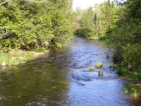 Aroostook River Tributary
