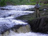 Jackson Sluice
