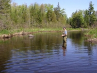 May Dry-Fly Fishing