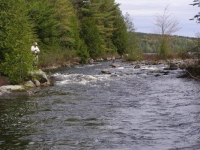 Mid-May Thoroughfare