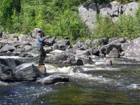 High-Summer Trouting