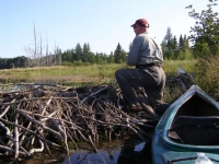 Beaver Dam Magic