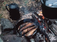 Shore Lunch