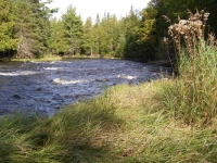 Webster Stream