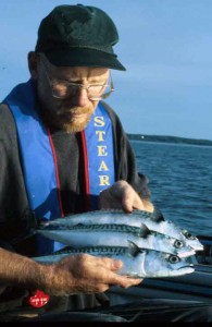 Maine Mackerel Fishing