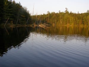 Remote Maine Trout Pond