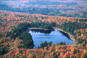Maine Autumn Colors