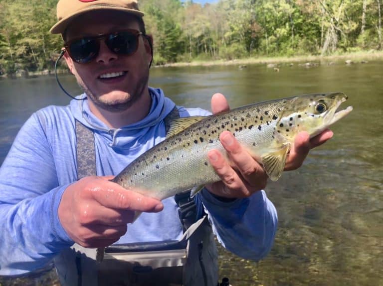 Landlocked Salmon Tracewski Fishing Adventures